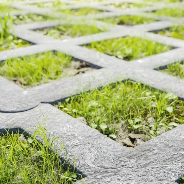 Elephant pavers